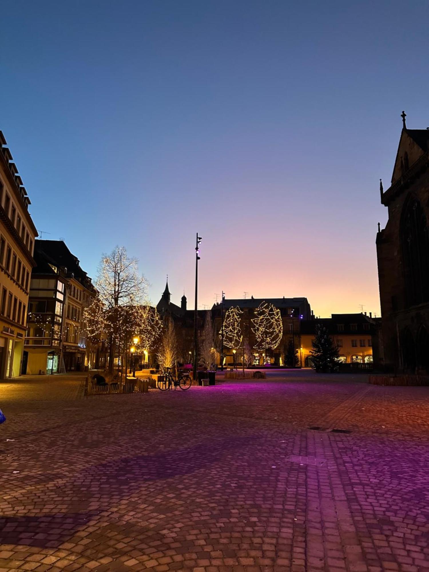 Le Muscat Apartment Colmar Exterior photo