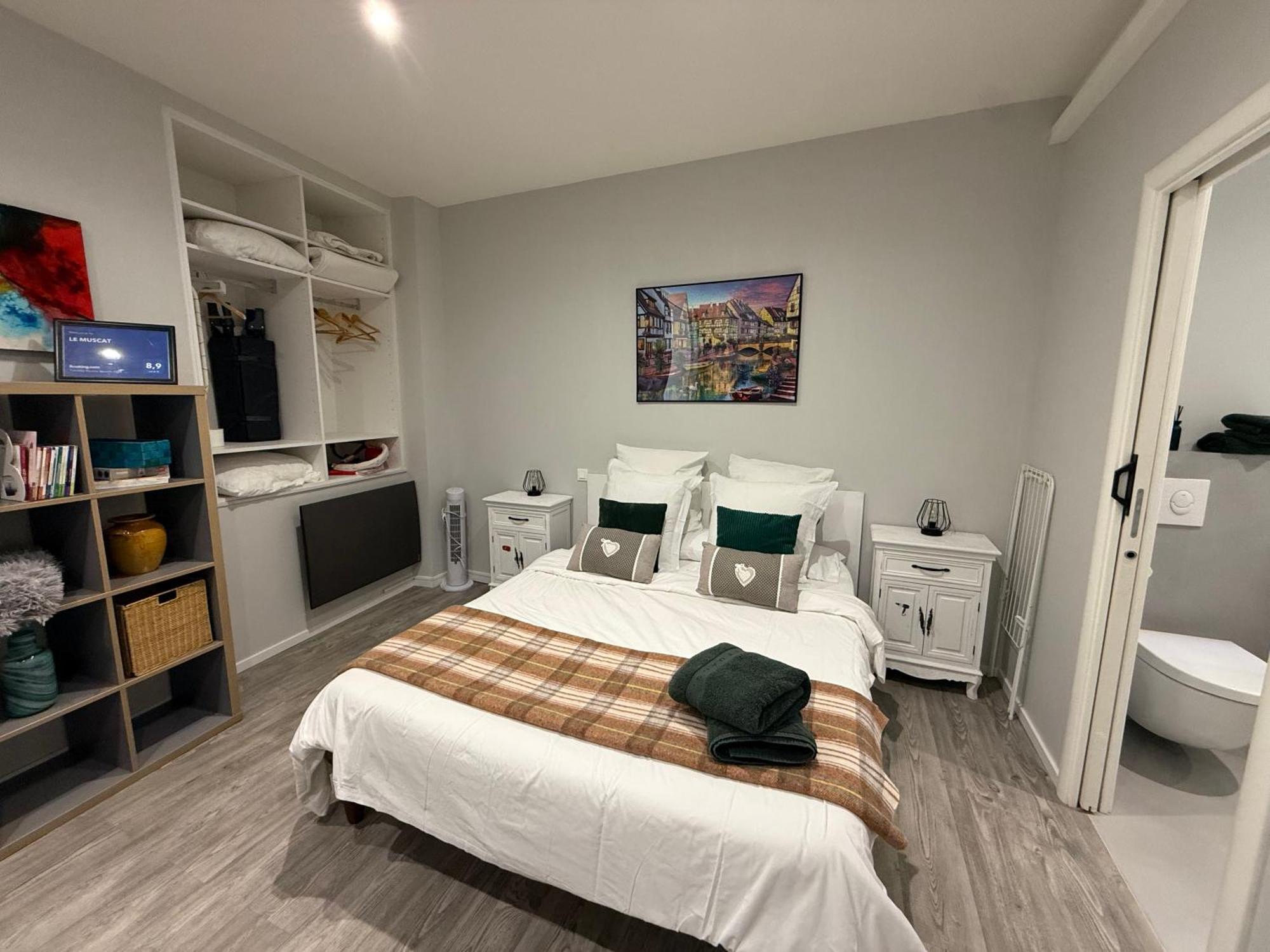 Le Muscat Apartment Colmar Exterior photo