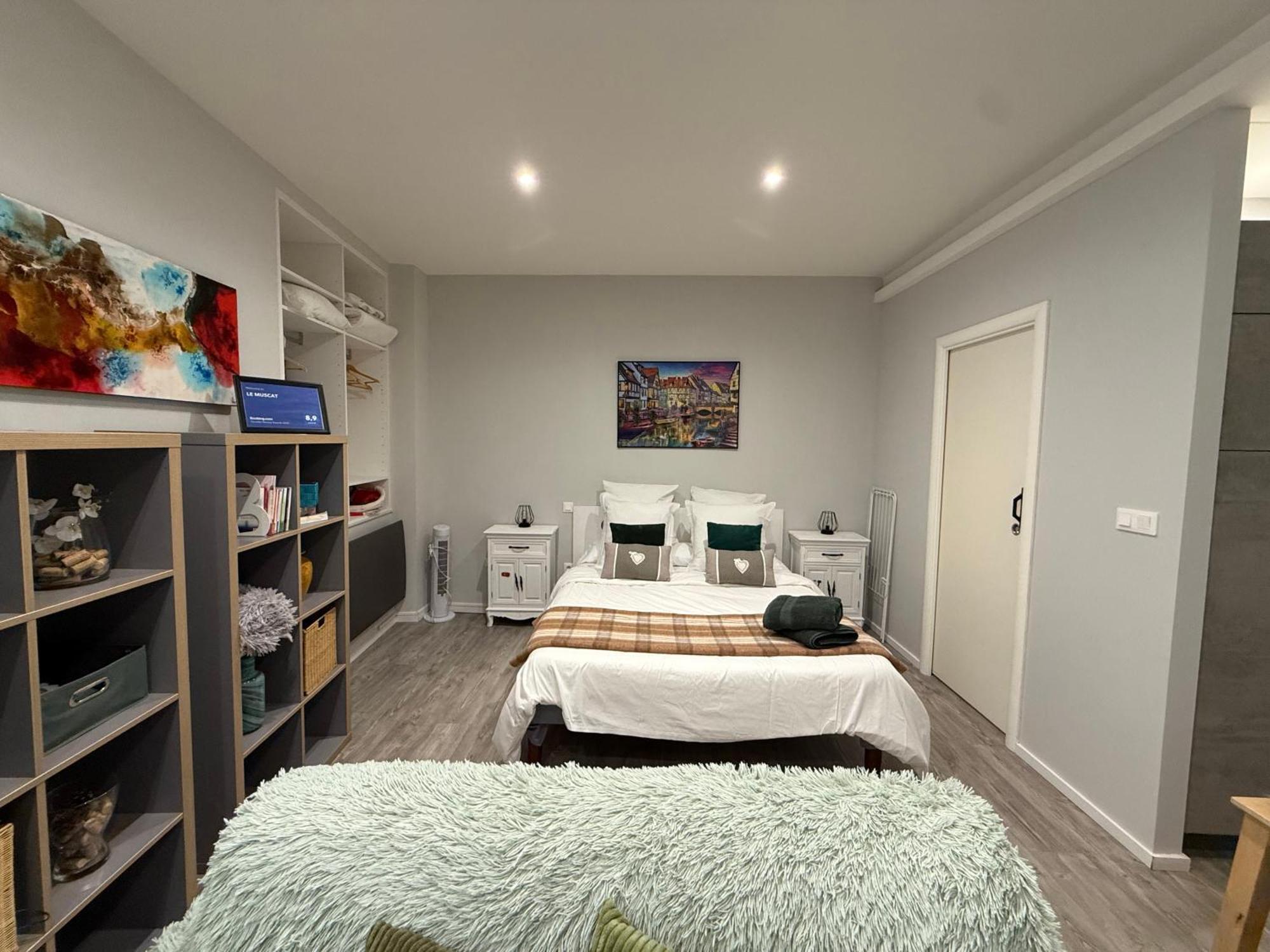 Le Muscat Apartment Colmar Exterior photo